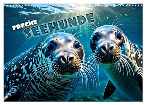 Freche Seehunde (Wandkalender 2025 DIN A3 quer), CALVENDO Monatskalender