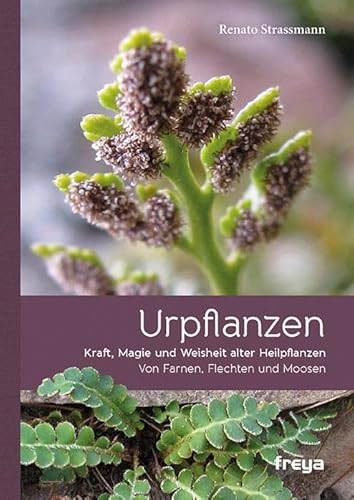 Urpflanzen: Kraft und Magie alter Heilpflanzen