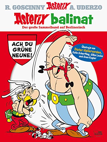 Asterix balinat: Der große Mundart-Sammelband