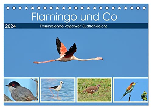 Flamingo und Co - Faszinierende Vogelwelt Südfrankreichs (Tischkalender 2024 DIN A5 quer), CALVENDO Monatskalender