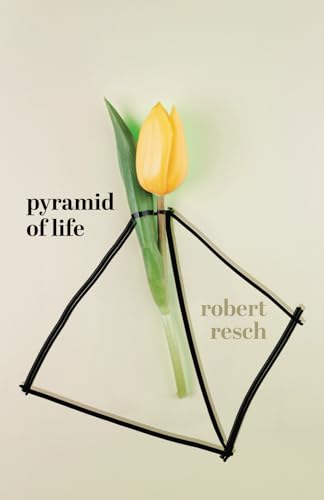 Pyramid of Life von Green Hill Publishing