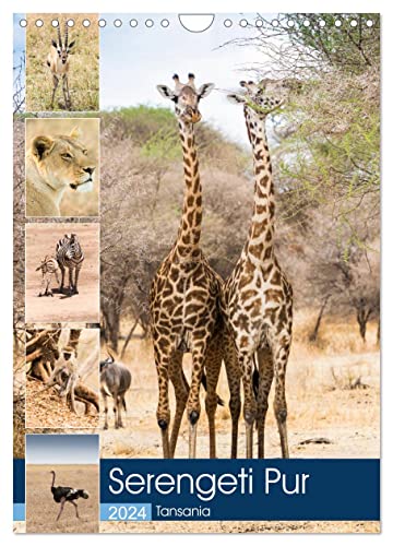 Serengeti Pur - Tansania (Wandkalender 2024 DIN A4 hoch), CALVENDO Monatskalender
