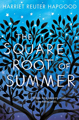 The Square Root of Summer von Macmillan Children's Books