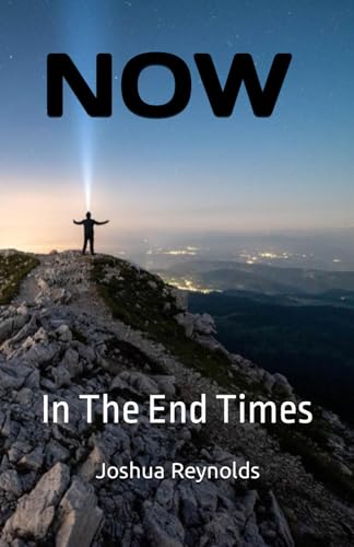NOW: In The End Times von Independently published