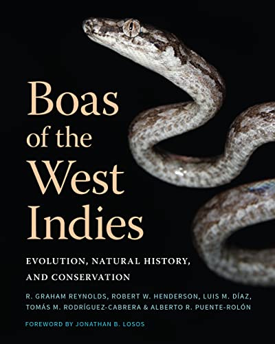 Boas of the West Indies: Evolution, Natural History, and Conservation von Comstock Publishing Associates