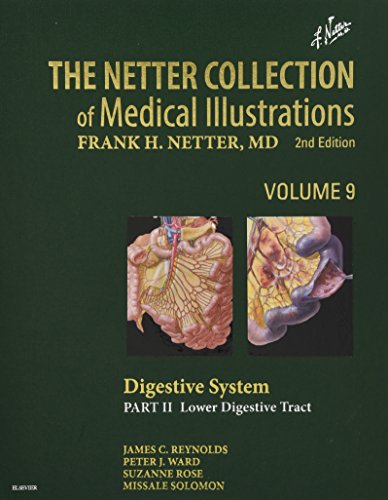 The Netter Collection of Medical Illustrations: Digestive System: Part II - Lower Digestive Tract (Netter Green Book Collection, Band 9) von Elsevier