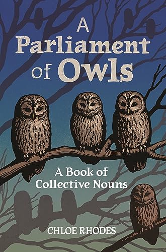 A Parliament of Owls: A Book of Collective Nouns von Michael O'Mara Books