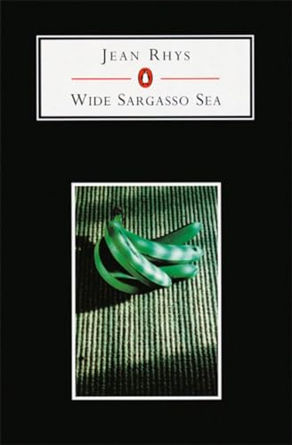 Wide Sargasso Sea von Random House Books for Young Readers