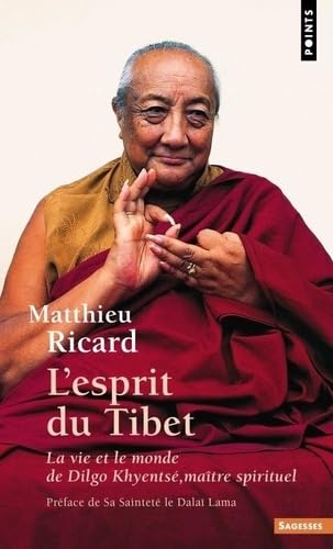 L'Esprit du Tibet: La Vie et le monde de Dilgo Khyentsé, maître spirituel L'Esprit du Tibet: La Vie et le monde de Dilgo Khyentsé, maître spirituel von POINTS