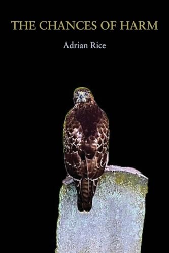 The Chances of Harm: Poems von Press 53