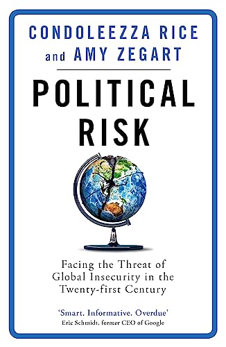 Political Risk: Facing the Threat of Global Insecurity in the Twenty-First Century von Weidenfeld & Nicolson