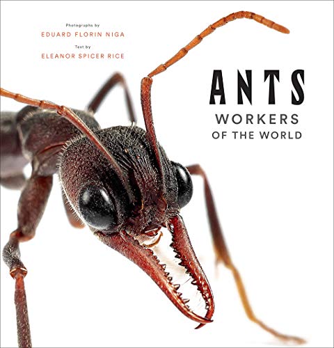 Ants: Workers of the World von Abrams & Chronicle Books