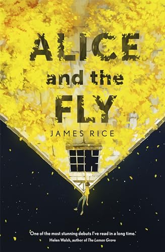 Alice and the Fly: 'a darkly quirky story of love, obsession and fear' Anna James