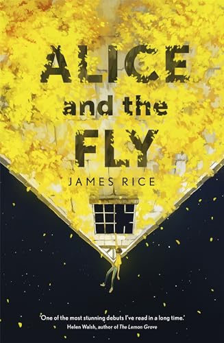 Alice and the Fly: 'a darkly quirky story of love, obsession and fear' Anna James Alice and the Fly: 'a darkly quirky story of love, obsession and fear' Anna James