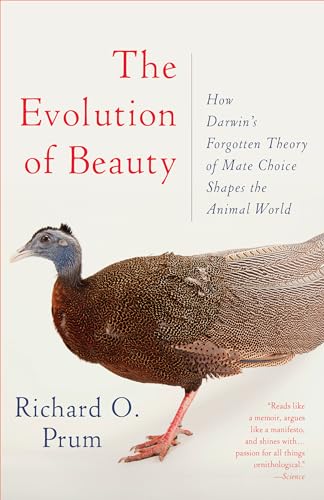 The Evolution of Beauty: How Darwin's Forgotten Theory of Mate Choice Shapes the Animal World - and Us von Anchor Books