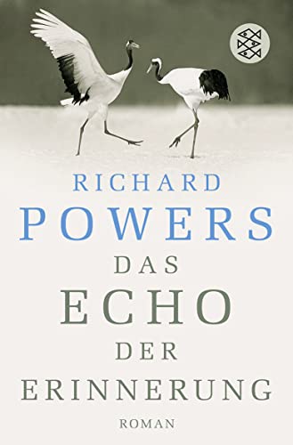 Das Echo der Erinnerung: Roman