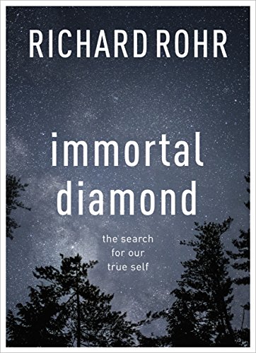 Immortal Diamond: The Search for Our True Self von SPCK Publishing