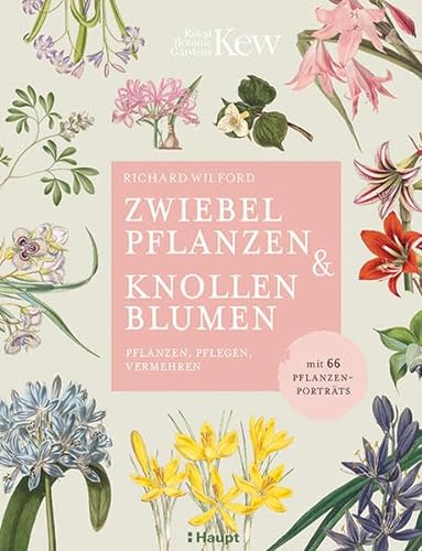 Zwiebelpflanzen & Knollenblumen: pflanzen, pflegen, vermehren - mit 66 Pflanzenporträts