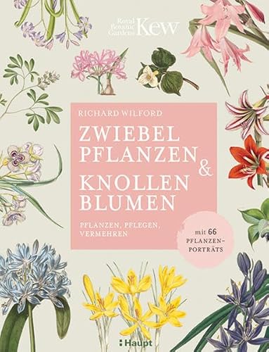 Zwiebelpflanzen & Knollenblumen: pflanzen, pflegen, vermehren - mit 66 Pflanzenporträts