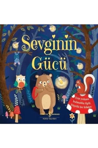 Sevginin Gücü von İş Bankası Yayınları