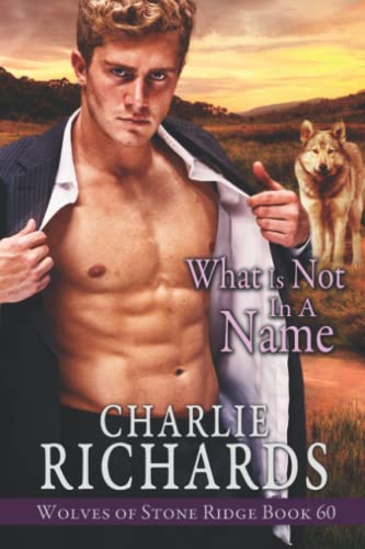 What is Not in a Name (Wolves of Stone Ridge, Band 60)