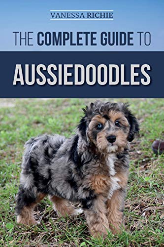 The Complete Guide to Aussiedoodles: Finding, Caring For, Training, Feeding, Socializing, and Loving Your New Aussidoodle von Independently Published