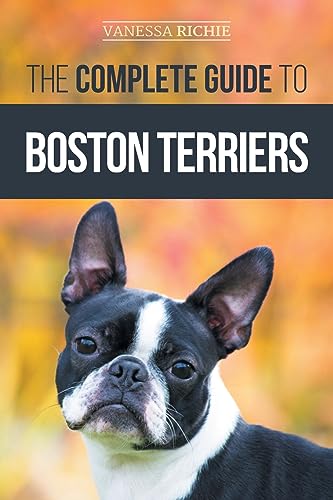 The Complete Guide to Boston Terriers: Preparing For, Housebreaking, Socializing, Feeding, and Loving Your New Boston Terrier Puppy von LP Media Inc