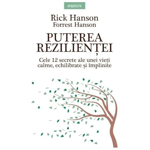 Puterea Rezilientei. Cele 12 Secrete Ale Unei Vieti Calme, Echilibrate Si Implinite