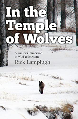 In the Temple of Wolves: A Winter's Immersion in Wild Yellowstone von Createspace Independent Publishing Platform