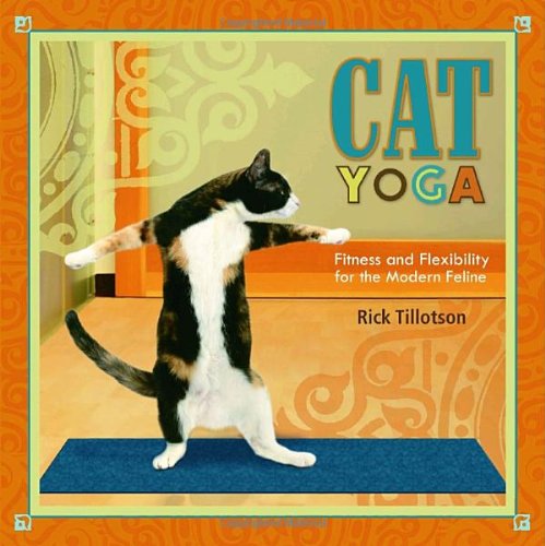 Cat Yoga: Fitness and Flexibility for the Modern Feline von Potter Style