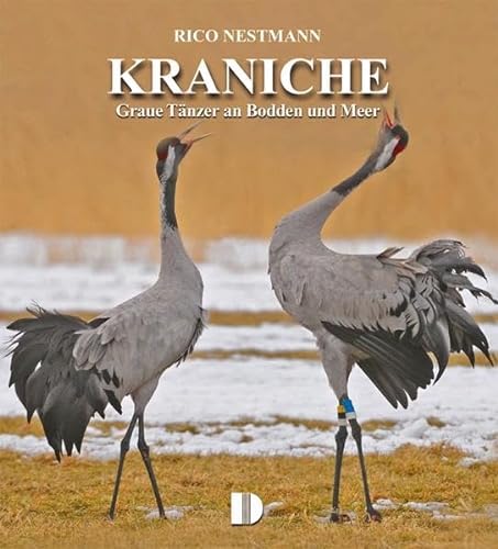 Bildband Kraniche: Graue Tänzer an Bodden und Meer von Demmler Verlag GmbH
