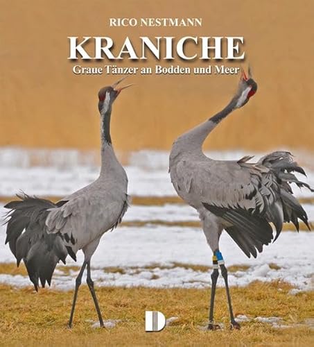 Bildband Kraniche: Graue Tänzer an Bodden und Meer von Demmler Verlag GmbH