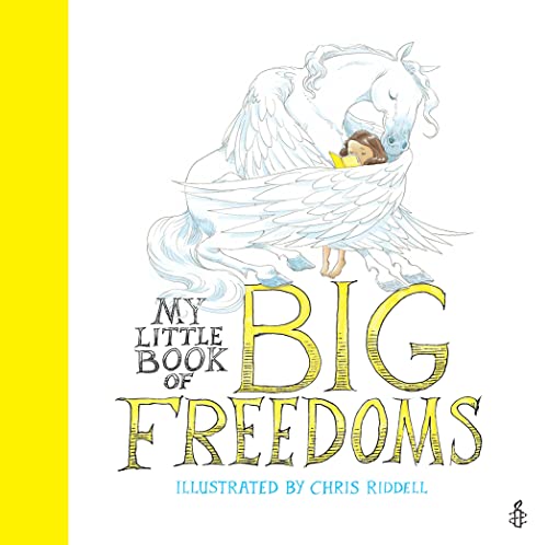 My Little Book of Big Freedoms: The Human Rights Act in Pictures
