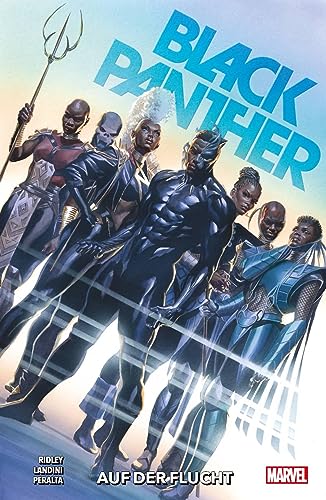 Black Panther - Neustart: Bd. 2: Auf der Flucht von Panini Verlags GmbH