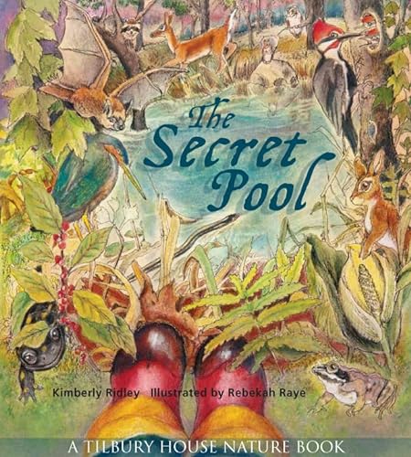 The Secret Pool (Tilbury House Nature Books, Band 0)