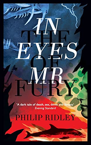 In the Eyes of Mr Fury von Valancourt Books