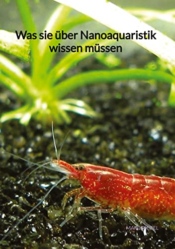 Was sie über Nanoaquaristik wissen müssen: DE
