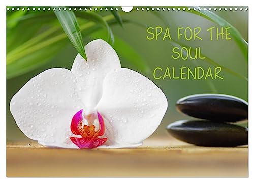 Spa for the Soul (Wall Calendar 2025 DIN A3 landscape), CALVENDO 12 Month Wall Calendar: Wellness and relaxation around the year