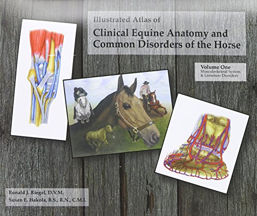 Illustrated Atlas of Clinical Equine Anatomy and Common Disorders of the Horse: Vol 1: Vol 1: Equileisure Code Hb135 (Illustrated Atlas of Clinical ... of the Horse: Vol 1: Equileisure Code Hb135)