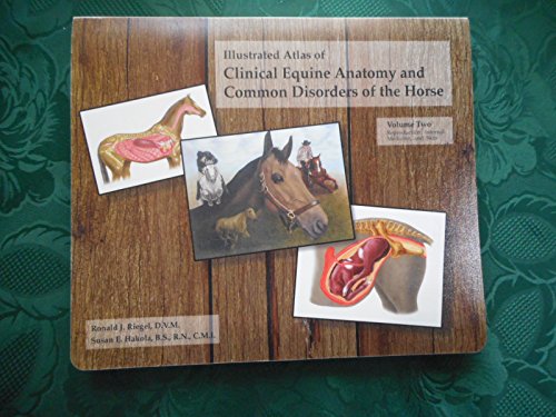 Illustrated Atlas of Clinical Equine Anatomy and Common Disorders of the Horse: Vol 2: Illustrated Atlas. Volume Two Reproduction, Internal Medicine ... Two Reproduction, Internal Medicine and Skin)