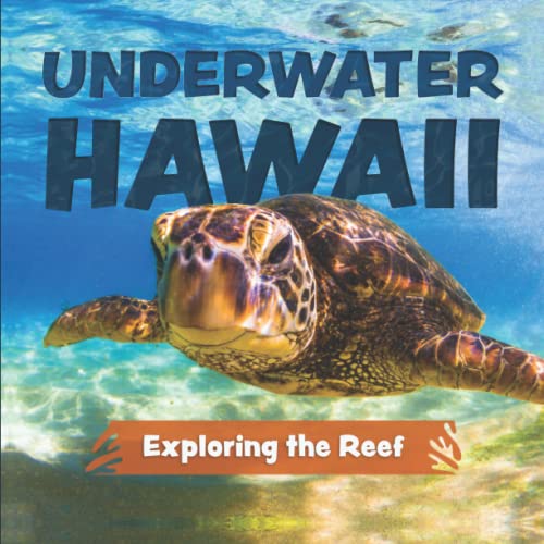 Underwater Hawaii: Exploring the Reef: A Children's Picture Book about Hawaii
