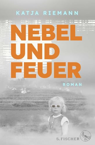 Nebel und Feuer: Roman von S. FISCHER