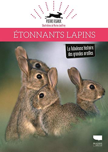 Étonnants lapins: La fabuleuse histoire des grandes oreilles