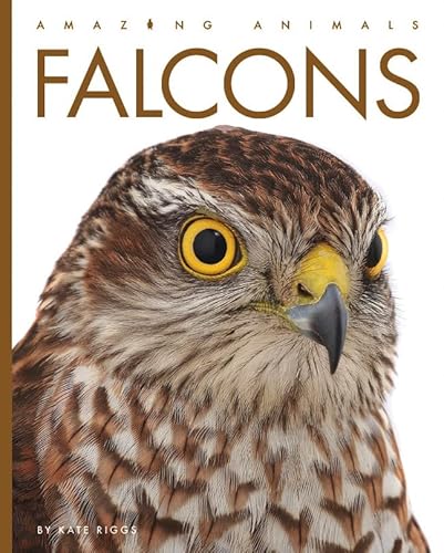 Falcons (Amazing Animals) von Creative Paperbacks