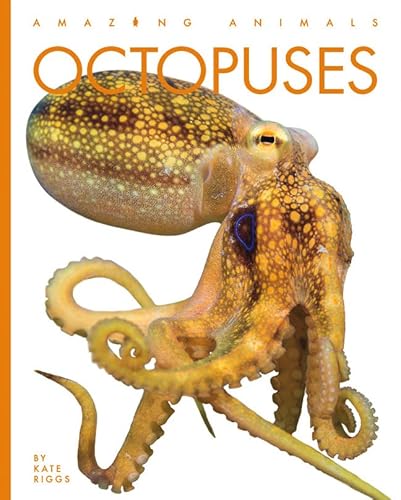 Octopuses (Amazing Animals) von Creative Paperbacks