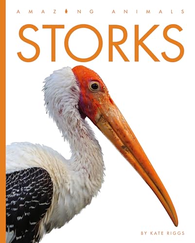Storks (Amazing Animals)