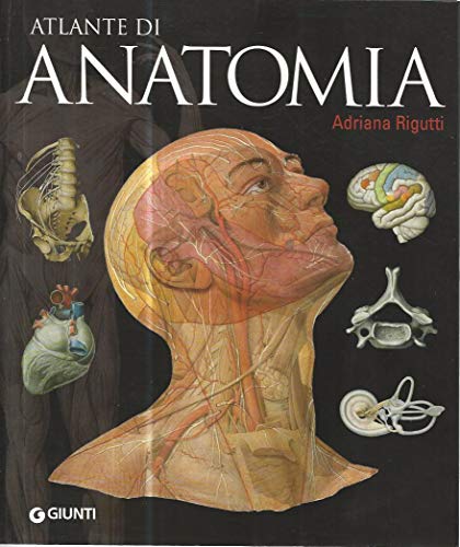 Atlante di anatomia (Atlanti illustrati)