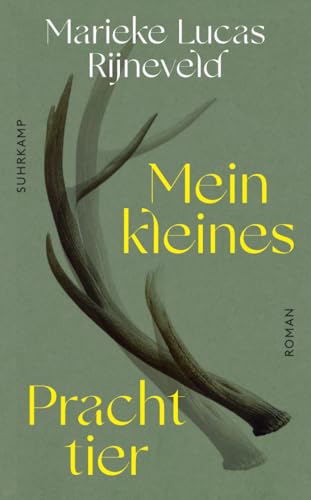 Mein kleines Prachttier: Roman (suhrkamp taschenbuch) von Suhrkamp Verlag AG