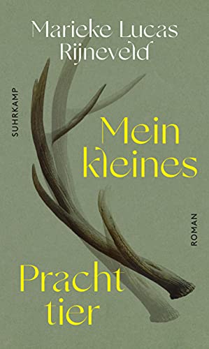 Mein kleines Prachttier: Roman