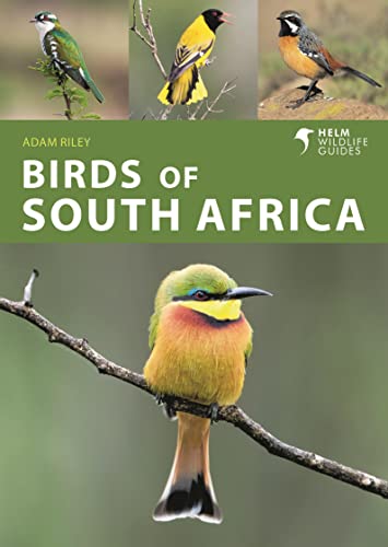Birds of South Africa (Helm Wildlife Guides) von Helm